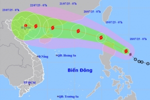 Quảng Ninh: Chủ động ứng phó bão WIPHA