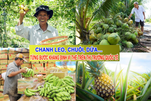 Chanh leo, chuối, dứa… từng bước khẳng định vị thế trên thị trường quốc tế