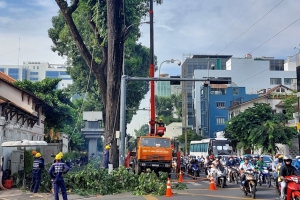 TP. HCM tăng cường phòng ngừa, ứng phó sự cố môi trường trong mùa mưa bão
