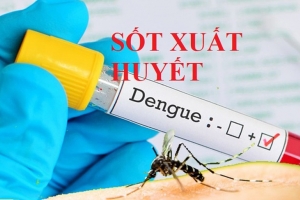 Công điện của Thủ tướng yêu cầu tăng cường phòng, chống bệnh sốt xuất huyết