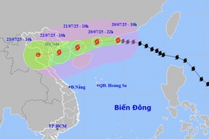 BQL Khu kinh tế và các KCN Ninh Bình yêu cầu doanh nghiệp chủ động ứng phó bão WIPHA