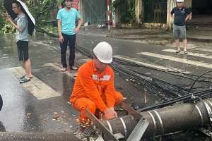 Công ty Điện lực Thái Nguyên khẩn trương khắc phục sự cố do giông lốc