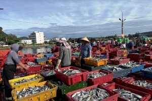 Nghệ An khẩn trương kêu gọi 785 tàu cá vào bờ tránh bão số 3