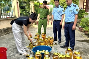 Thanh Hóa tiêu hủy 142 lít rượu sâm không rõ nguồn gốc, xử phạt hộ kinh doanh 62,5 triệu đồng