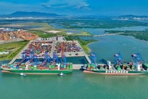 Gemadept báo lãi quý II/2025 tăng mạnh, đạt hơn 581 tỷ đồng