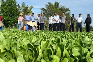 Cà Mau tăng cường thực hiện công tác tổng điều tra nông thôn, nông nghiệp năm 2025