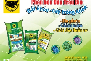 Hành trình đưa vi sinh vật vào phân bón Đầu Trâu Bio-Canxi