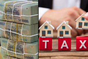 Chuyên gia trao đổi về đề xuất đánh thuế 20% giá mua và bán bất động sản chuyển nhượng