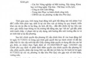 Lâm Đồng chấn chỉnh tình trạng gây nhiễu loạn thị trường BĐS, tạo 'sốt ảo' giá đất