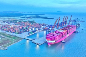Gemadept báo lãi kỷ lục quý II/2025, nắm giữ 5.000 tỷ đồng tiền mặt và tài sản tài chính ngắn hạn