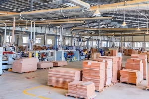Phú Tài chuẩn bị tổ chức ĐHĐCĐ bất thường, dự kiến chào bán thêm cổ phiếu ra công chúng