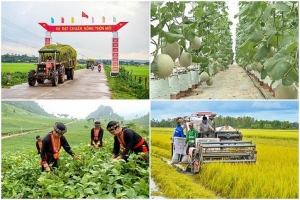 Xây dựng cơ sở dữ liệu các chương trình mục tiêu quốc gia