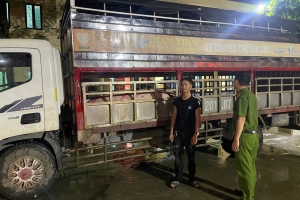 Lào Cai: Công an phường Trung Tâm quyết liệt xử lý vi phạm an toàn thực phẩm