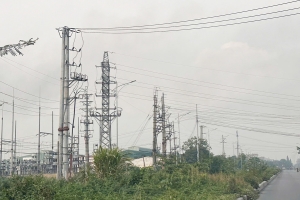 Bắc Ninh tăng cường các giải pháp giảm thiểu tai nạn điện và vi phạm hành lang an toàn lưới điện cao áp
