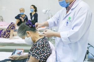 Hải Phòng: Tăng cường quản lý hoạt động khám, chữa bệnh y học cổ truyền