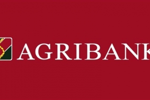 Agribank Chi nhánh Bắc Nam Định tuyển dụng lao động đợt 1 năm 2025
