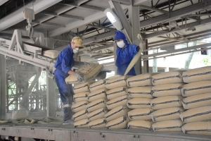 Đài Loan (Trung Quốc) áp thuế chống bán phá giá với xi măng và clanhke của Việt Nam