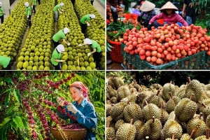 Thương hiệu Việt Nam: Niềm tự hào & khát vọng vươn xa