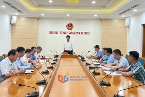 “Bắt buộc phải cung cấp thông tin, kỹ năng an toàn cho hành khách trước khi lên tàu”