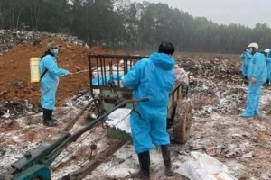 Thanh Hóa: Dịch tả lợn Châu Phi diễn biến phức tạp, gần 7.000 con lợn bị tiêu hủy