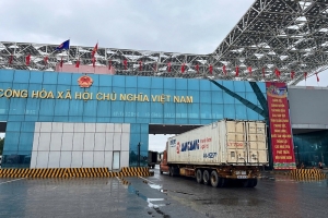 Hải quan khu vực VIII làm thủ tục cho 2.190 thùng carton dừa tươi qua cầu Bắc Luân II