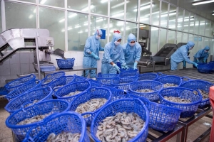 Sao Ta ghi nhận mức tăng doanh số ấn tượng 23% trong tháng Bẩy