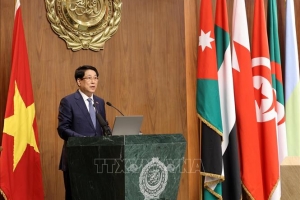 Chương mới trong quan hệ hợp tác giữa Việt Nam với các nước Arập vì hòa bình và phát triển