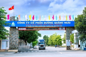 QNS dự chi gần 368 tỷ đồng tạm ứng cổ tức 2025, tỷ lệ 10%