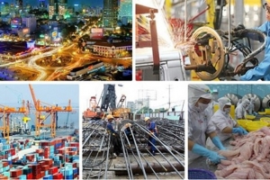 Bổ sung 5 thành viên Hội đồng Tư vấn chính sách
