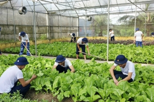 Gieo màu xanh trên miền cát trắng gió Lào