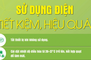 Sử dụng điện tiết kiệm, hiệu quả để giảm thiểu nguy cơ sự cố