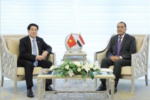 Thủ tướng Ai Cập đề xuất thành lập Hội đồng kinh doanh Việt Nam - Arab