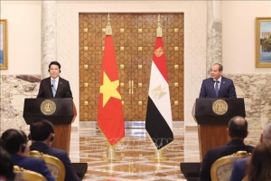 Tuyên bố chung nâng cấp quan hệ Đối tác Toàn diện Việt Nam - Ai Cập