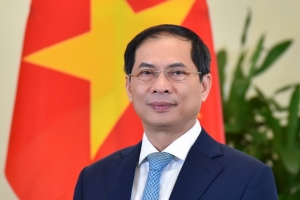 30 năm Việt Nam tham gia ASEAN: Từ khát vọng chung đến thành viên tin cậy và trách nhiệm