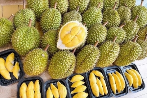 Giá sầu riêng hôm nay 8/8: Thị trường ổn định