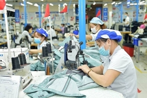 Gilimex bị HOSE nhắc nhở do chậm nộp Báo cáo tài chính quý II/2025