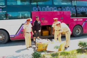 Gần một tấn sụn chân gà bốc mùi bị phát hiện trên xe khách tại Huế