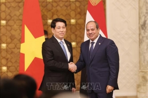 Xác lập khuôn khổ mới trong quan hệ với các nước châu Phi anh em