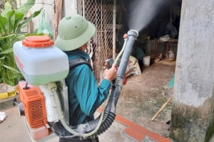Nghệ An đảm bảo 80% đàn vật nuôi được tiêm phòng trong tháng cao điểm vệ sinh môi trường