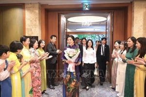 Phu nhân Ngô Phương Ly gặp mặt thân tình các cô dâu Việt Nam tại Hàn Quốc