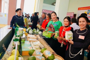 Nâng cao giá trị sản phẩm bí xanh thơm