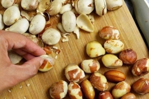 Nhiều người thường vứt bỏ hạt mít mà không biết rằng chúng chứa nguồn dinh dưỡng dồi dào