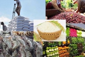 Nông nghiệp Việt Nam đặt mục tiêu xuất khẩu 100 tỷ USD vào năm 2030