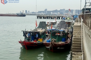 Quảng Ninh liên tiếp phát hiện tàu cá đánh bắt thủy sản trong vùng cấm