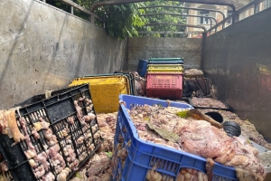 Hà Nội thu giữ hơn 2 tấn mỡ và da bò không rõ nguồn gốc, bốc mùi hôi thối