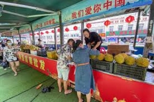 Sầu riêng nội địa Trung Quốc có giá lên tới 750.000 đồng/kg, vượt xa hàng nhập khẩu