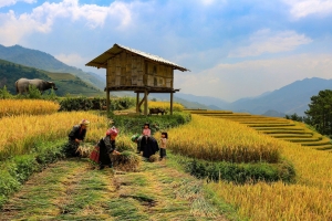 Lào Cai: Tiếp tục phát huy hiệu quả Chương trình mục tiêu quốc gia phát triển KT-XH vùng đồng bào dân tộc thiểu số và miền núi