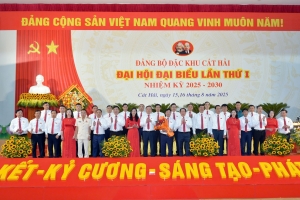 Xây dựng Cát Hải trở thành Đặc khu cảng biển và du lịch, trọng điểm kinh tế biển