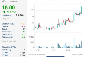 Tập đoàn MCST chuẩn bị trả cổ tức tỷ lệ 70%