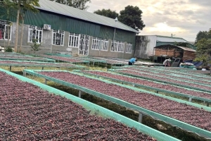 Đắk Lắk: Mục tiêu cuối năm 2030 có trên 29.000 doanh nghiệp